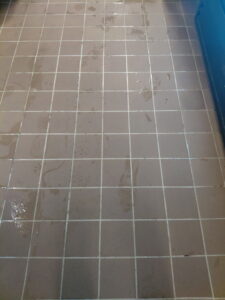 703166254679686268